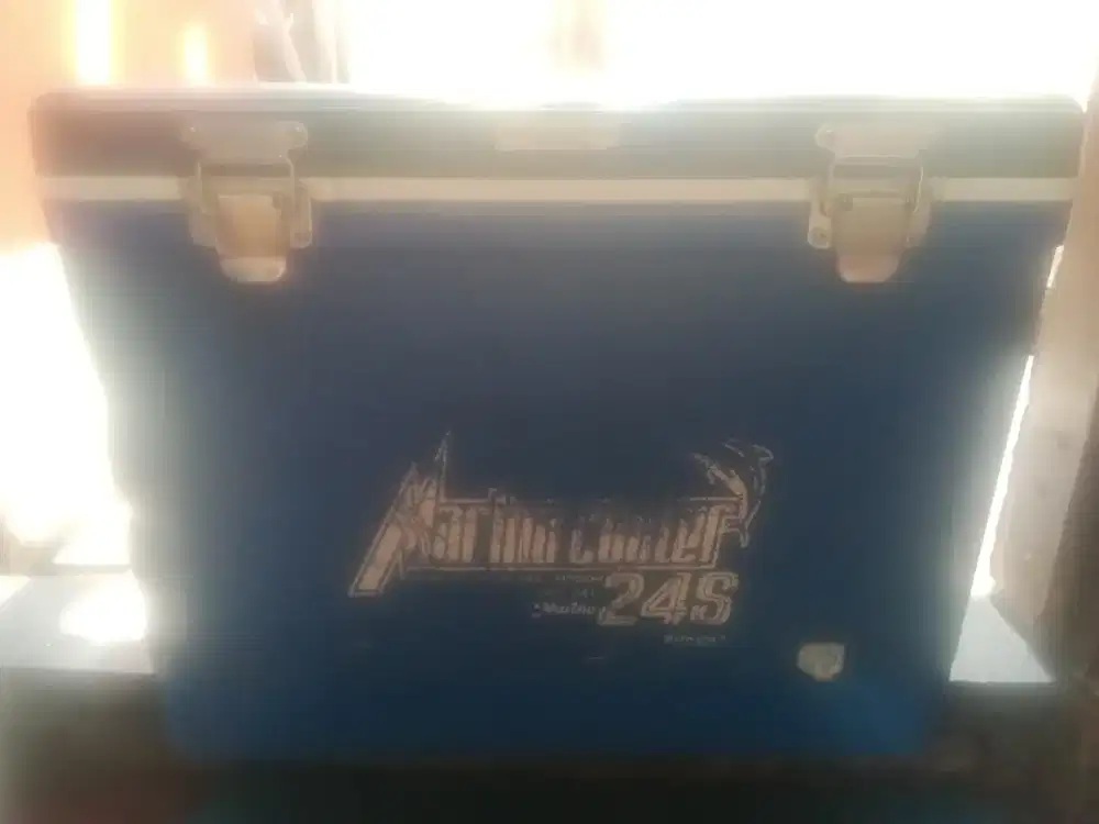 Box pendingin ukuran 24 liter