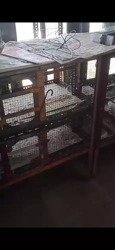 Kandang burung ternak