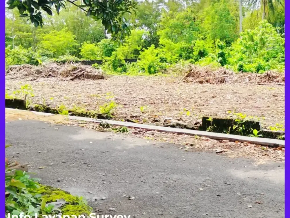 Tanah Jogja Mangku Jalan Aspal 1km Jl Palagan SHM Pekarangan