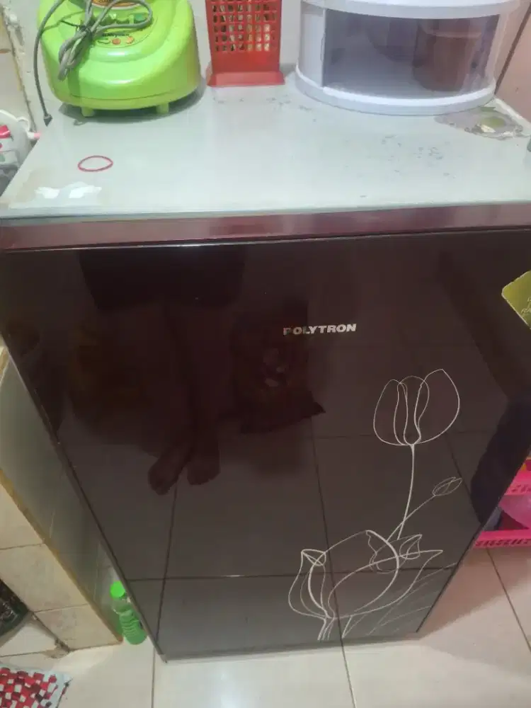 Kulkas 1 pintu polytron