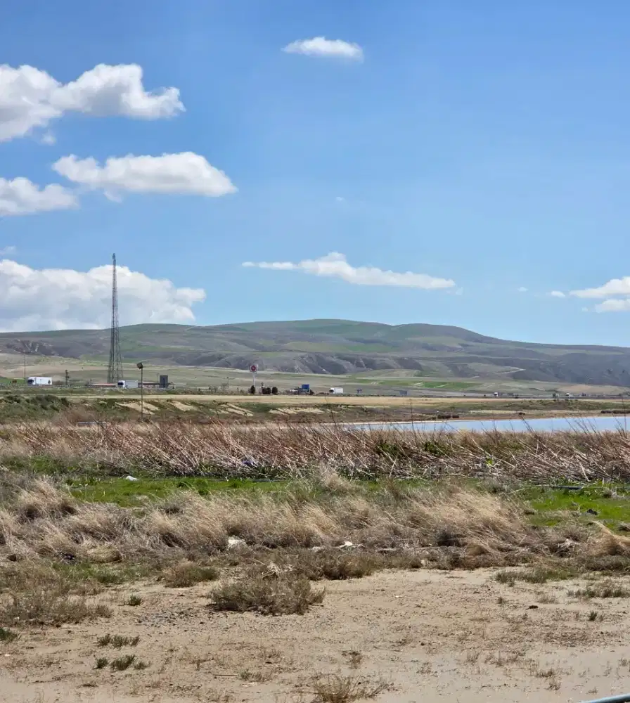 Dibutuhkan Administrasi Wanita