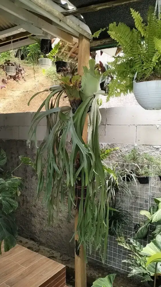 Terapy perawatan tubuh