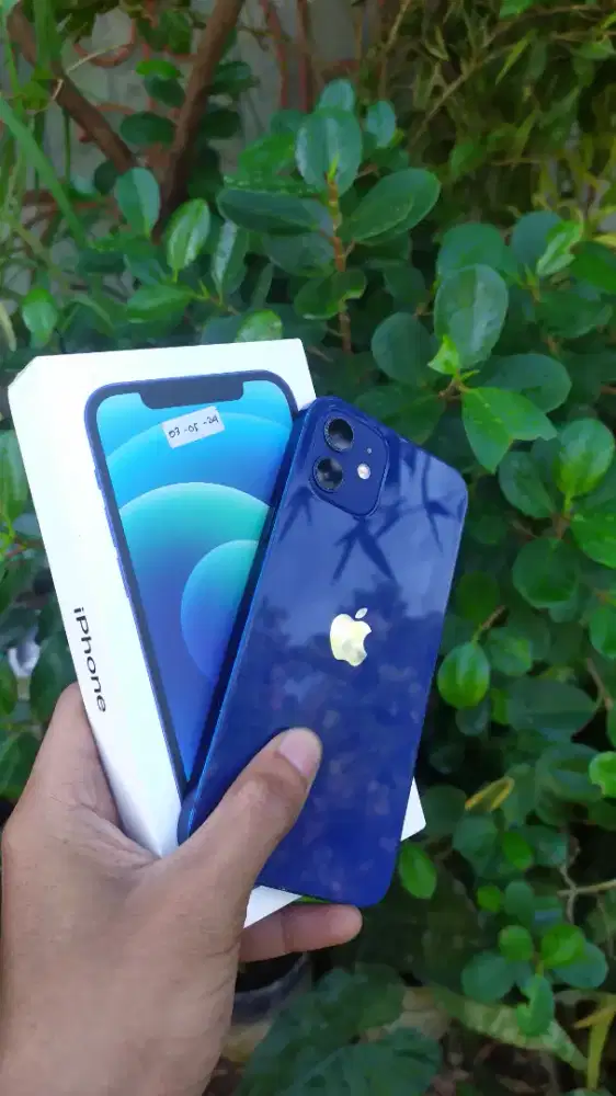 Jual Iphone 12 128 Blue Ibox