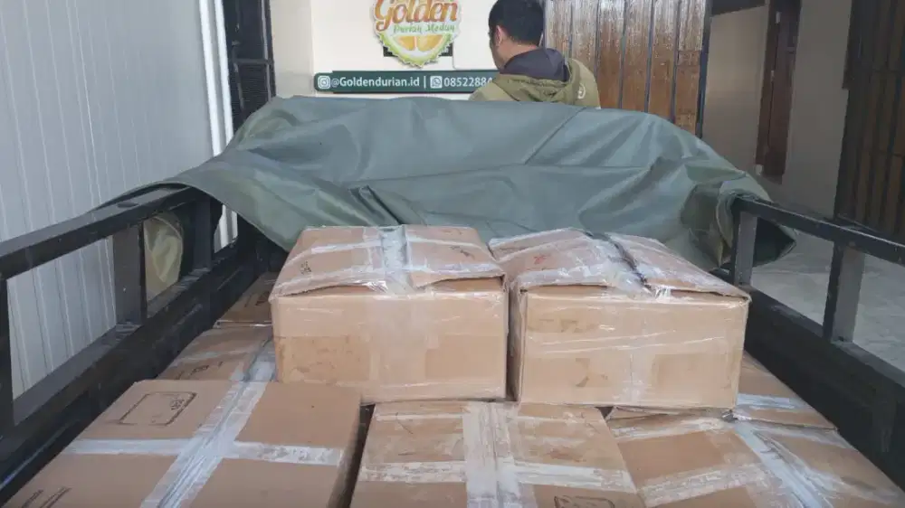 Grosir Daging Durian Yogyakarta