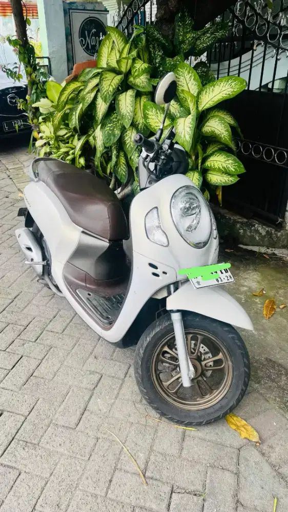 Scoopy prestige 2023