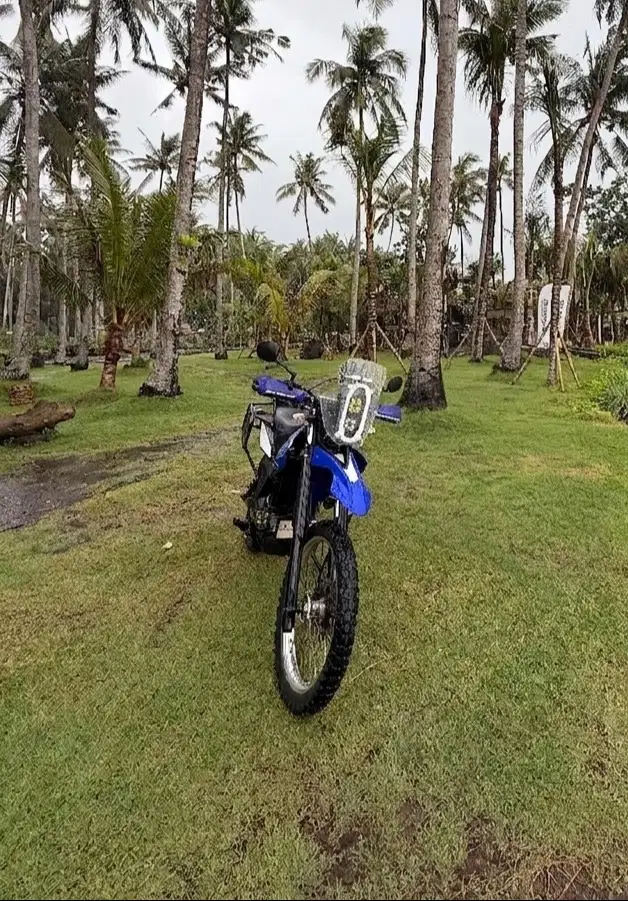 Yamaha WR 155 Rally