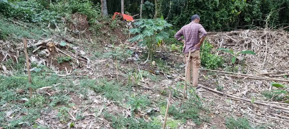 Tanah Potensial dkt Puskesmas Minggir Jogja