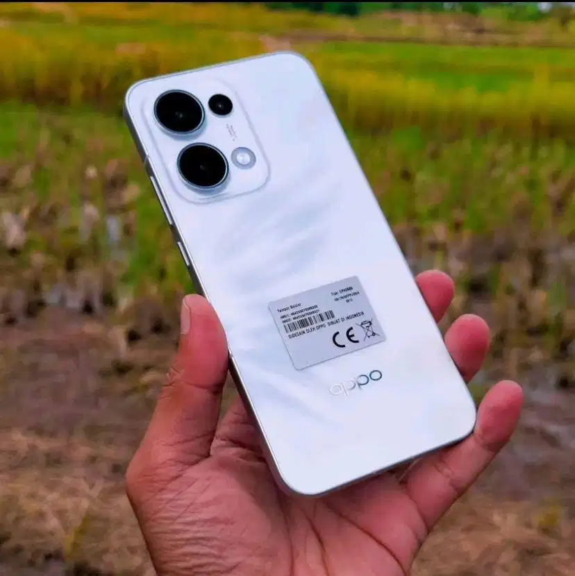 Oppo Reno 13 5G 12/256Gb Resmi