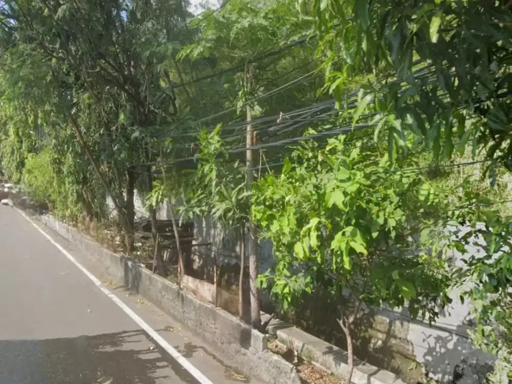 Jual Tanah Jl. Kedondong Raya Sunter Jaya Silahkan Nego