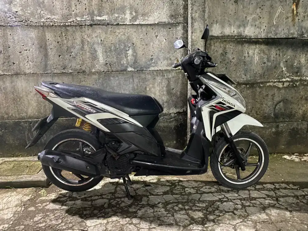 vario techno 2011