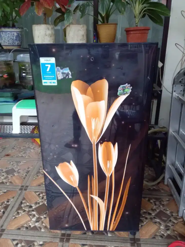 Kulkas 1 pintu dingin