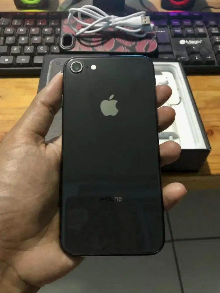 iPhone 8 256GB iBox