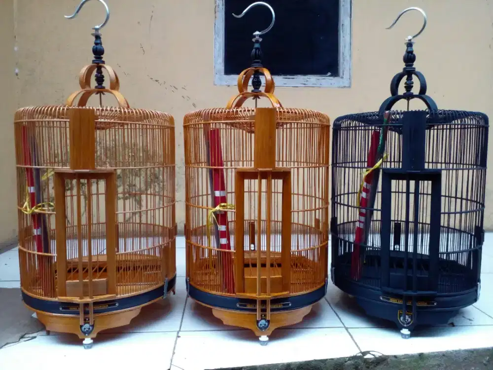 Sangkar Burung Anis / ak / wambie baru