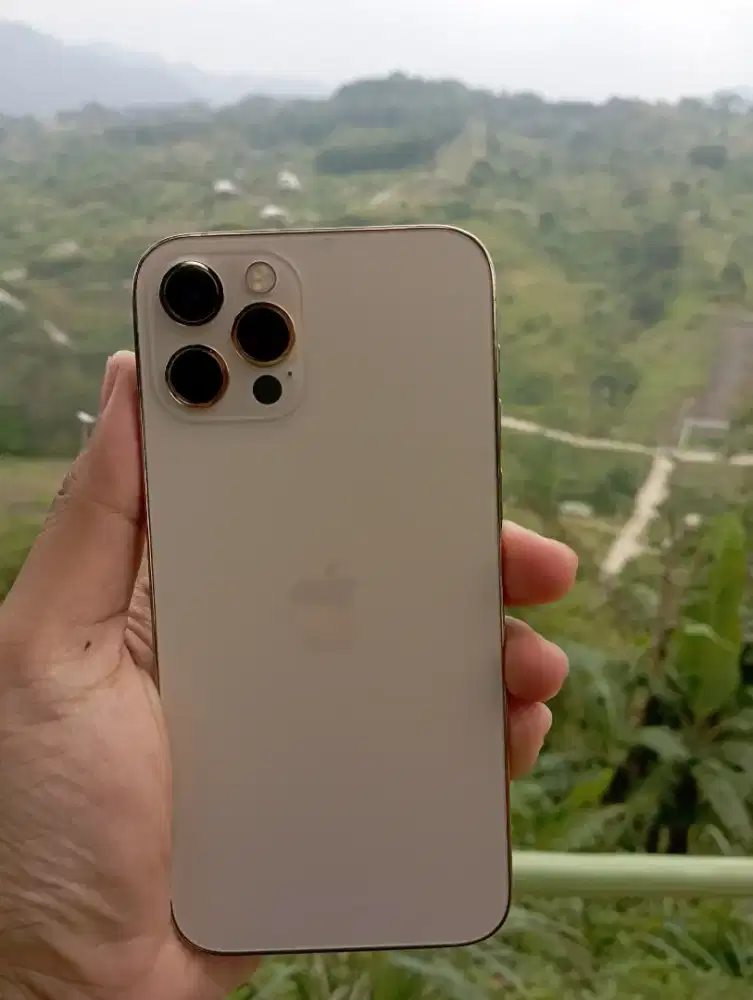 iPhone 12 pro gold inter
