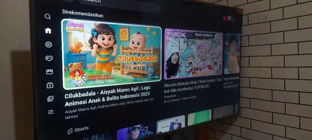 TCL 55 inch google tv + standing bracket