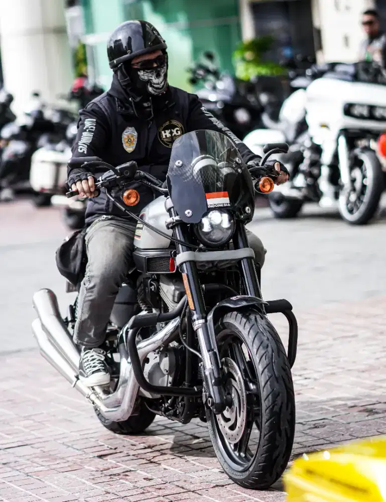 XR 1200 2010 silver full papper