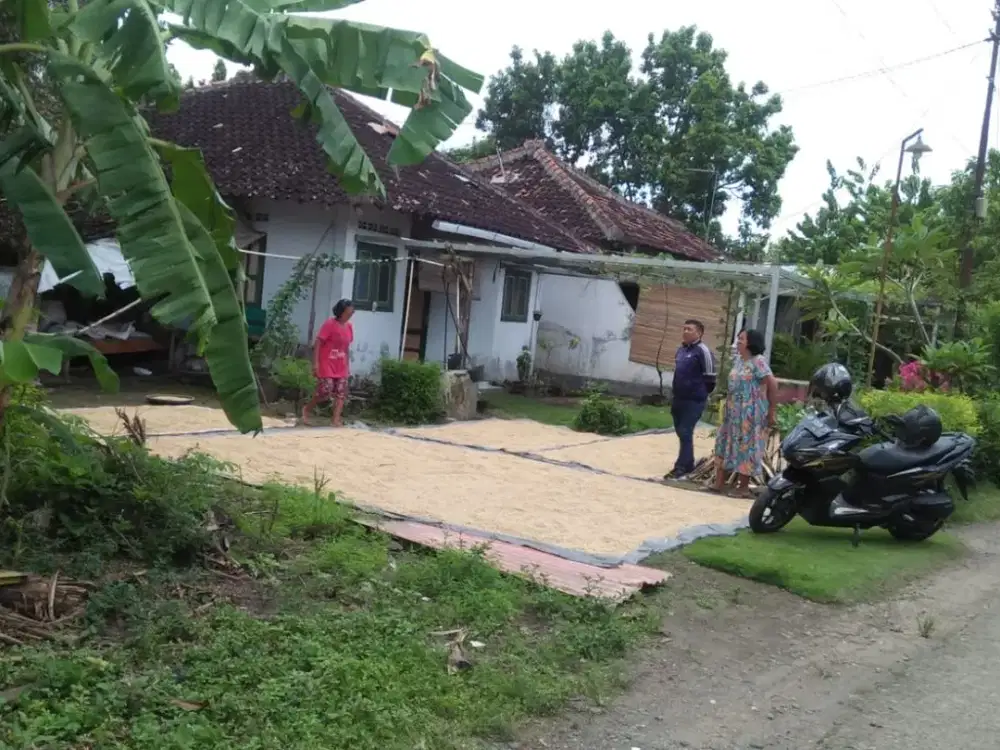 Tanah Siap Bangun di Bambanglipuro – Akses Mudah & Lokasi Berkembang