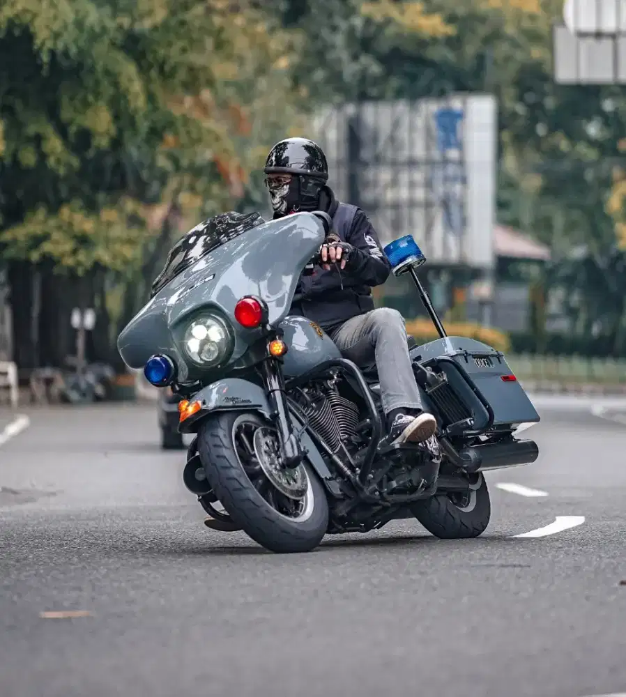 Electra Police 2005 Grey Full Paper