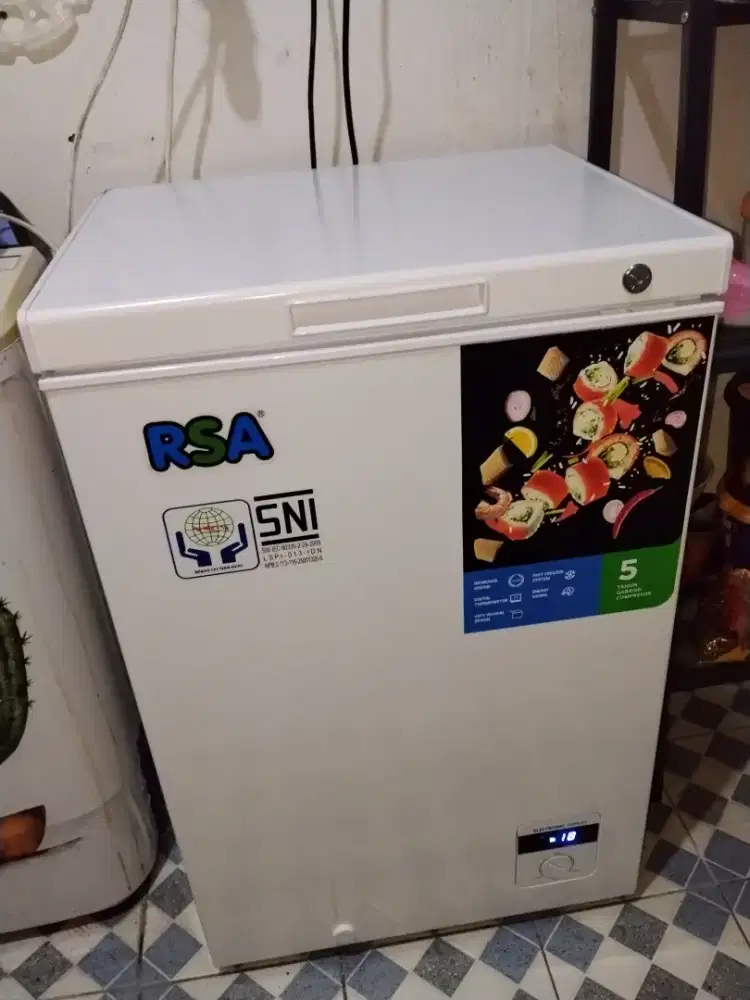 Freezer RSA 100Lt