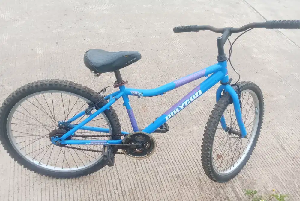 Sepeda sport Polygon