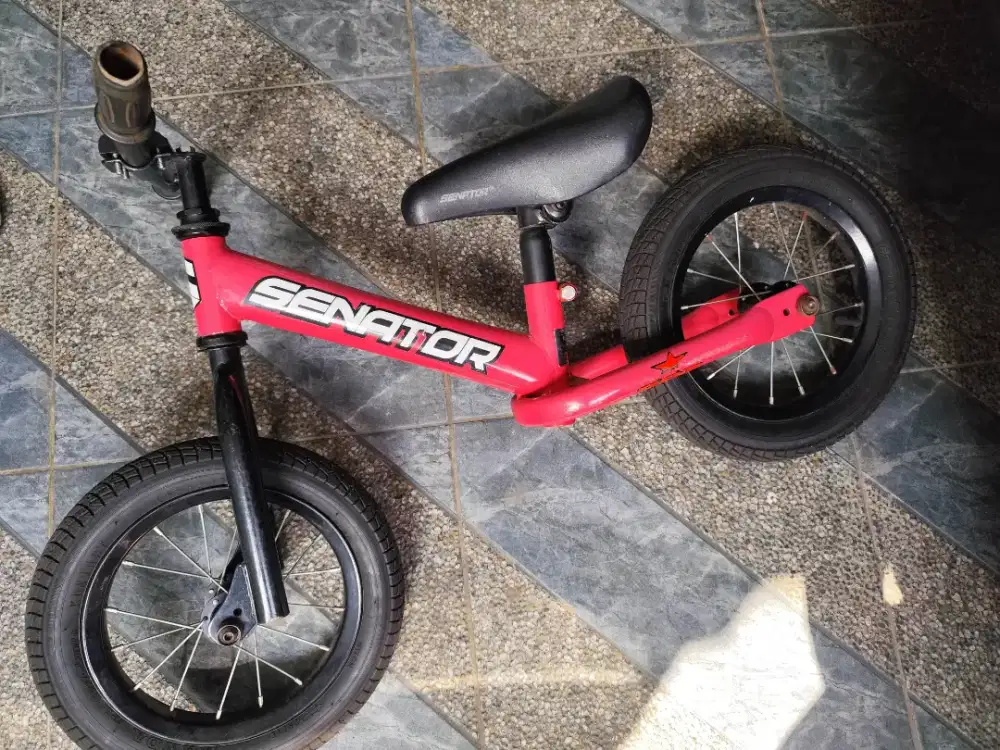 Push bike senator