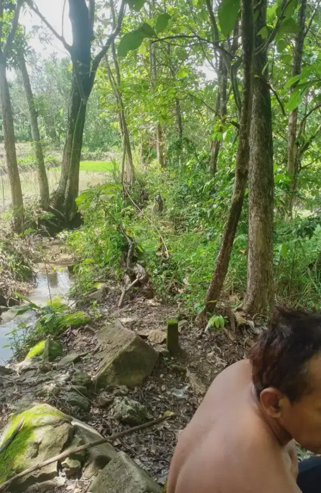 tanah 3300m cocok untuk investasi masa depan