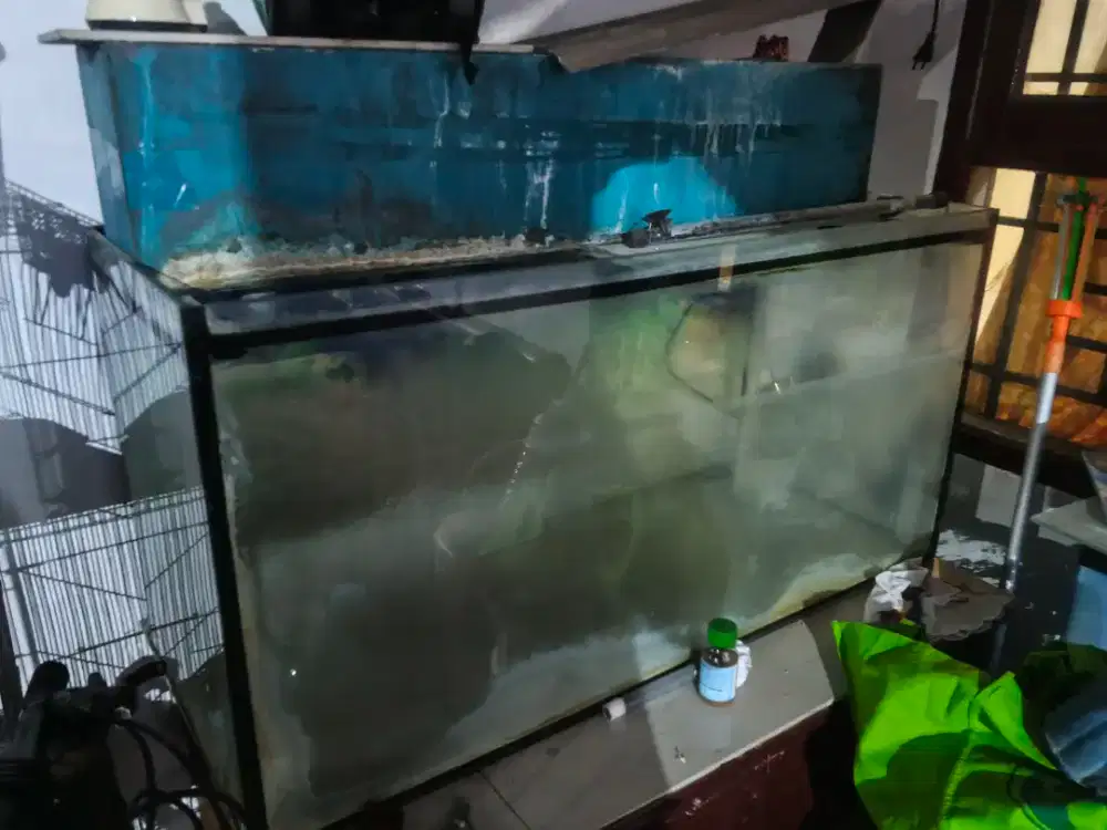 Aquarium Untuk Ikan Kesayangan