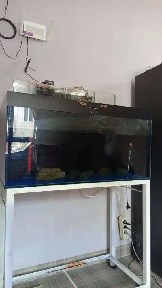 Edisi Fancy odoe pike