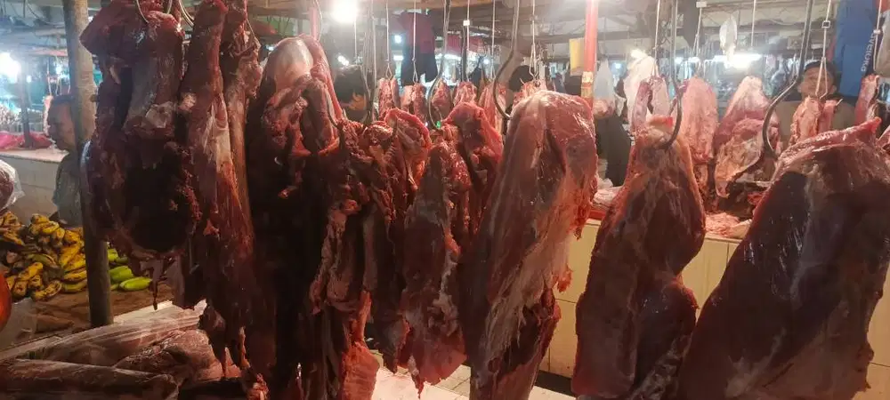 Daging sapi lokal fresh