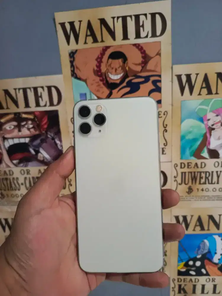 Iohone 11 promax 256gb cukai