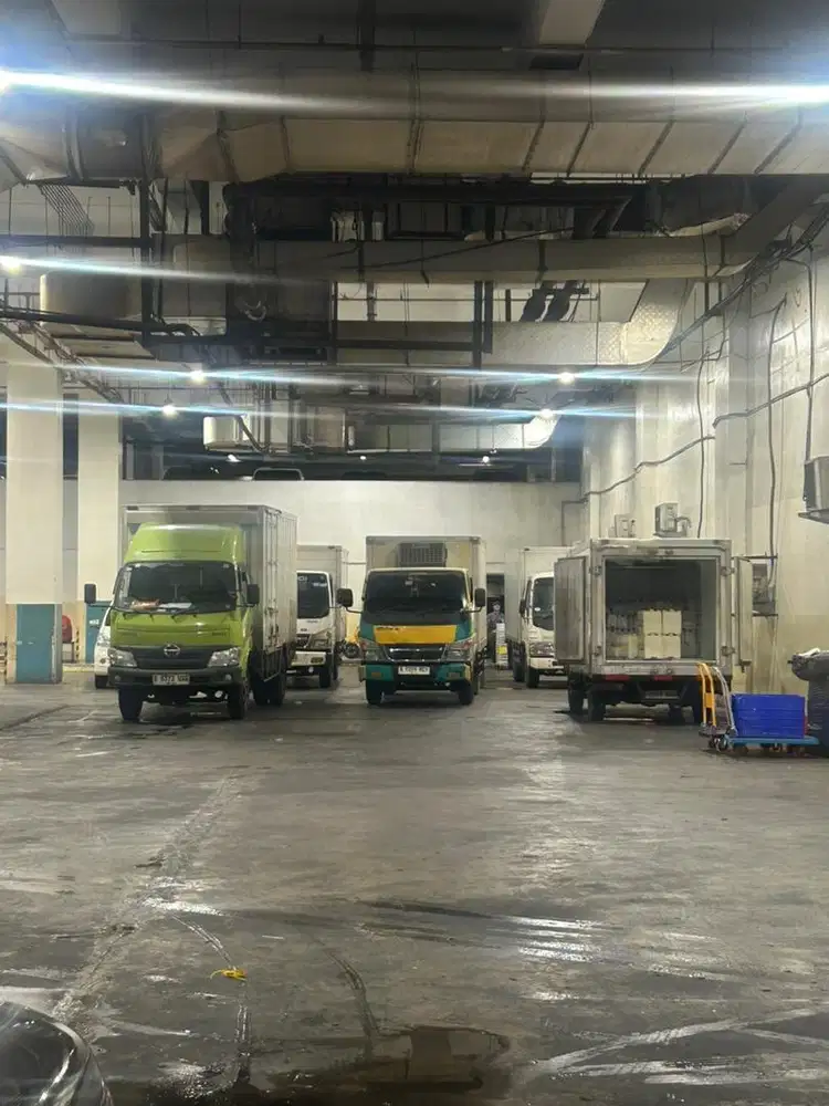 Admin daging / jual daging / admin penjualan