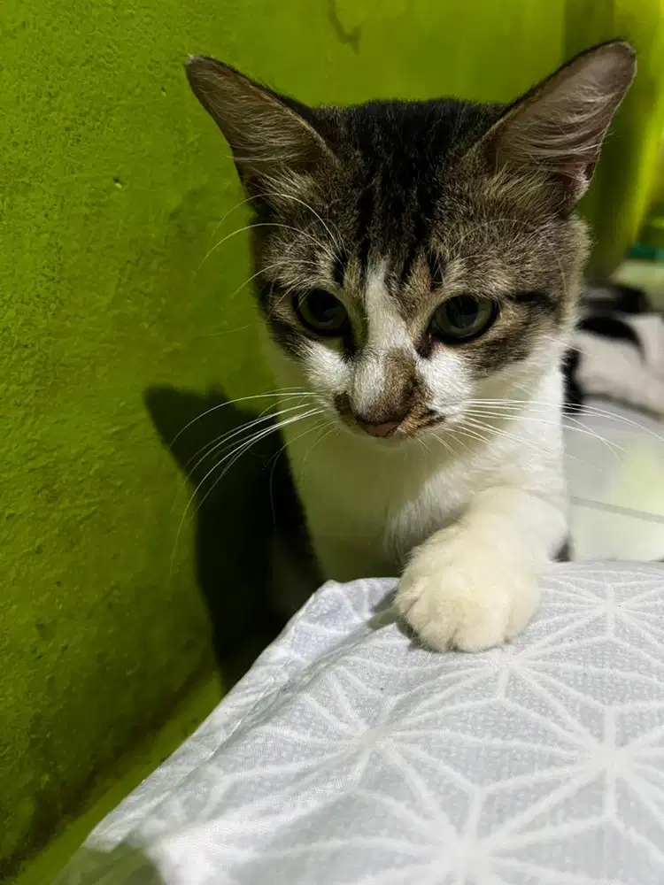 Mencari lowongan pekerjaan