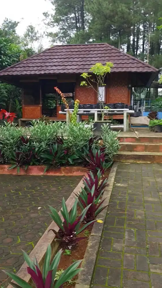 Di jual cpt vila saung bambu