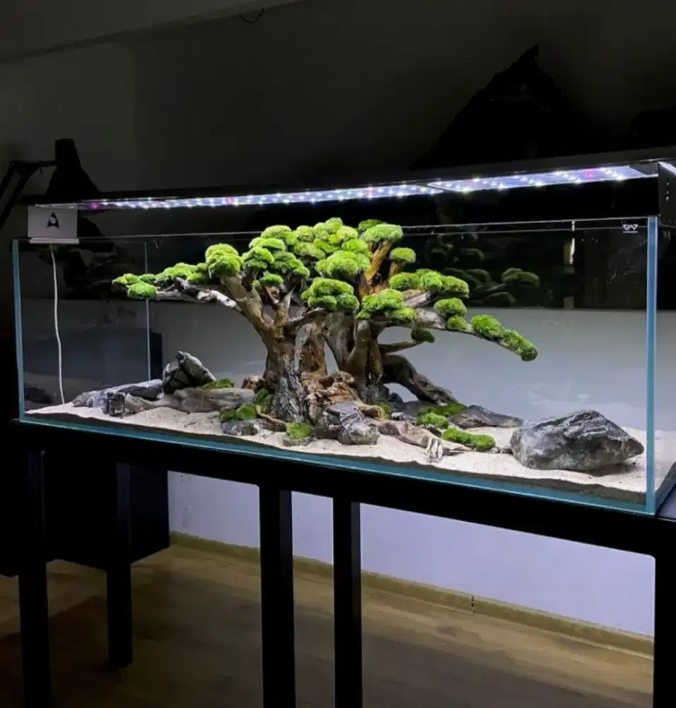 Jasa pembersihan Aquarium