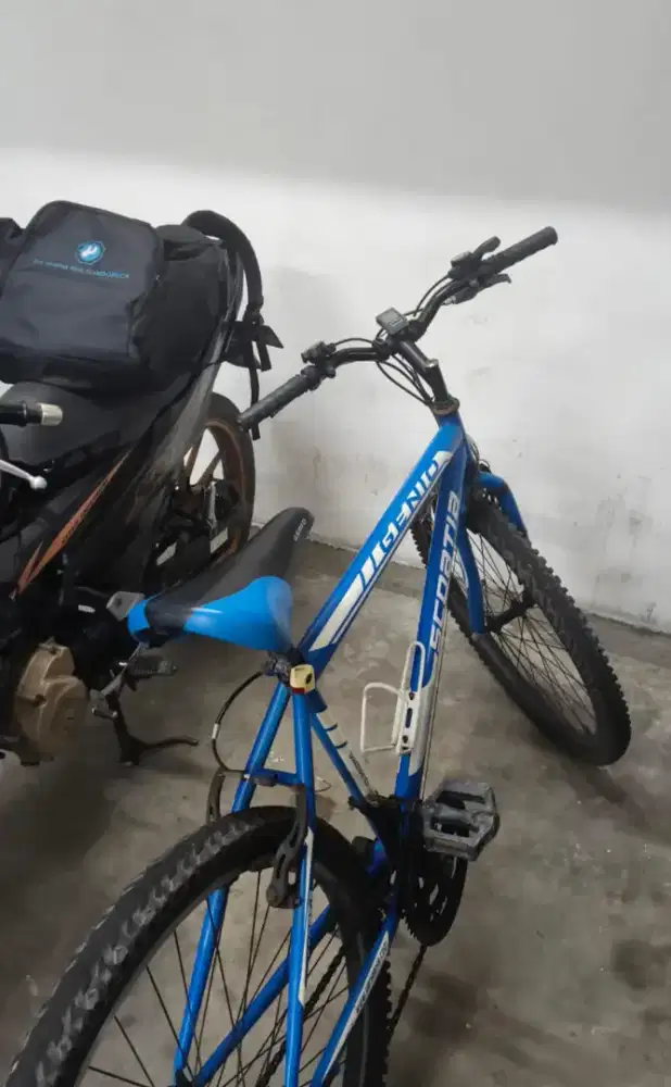 Sepeda Gunung Merk Genio 26