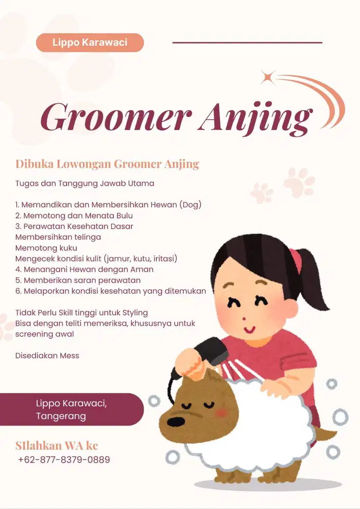 Lowongan Groomer Anjing
