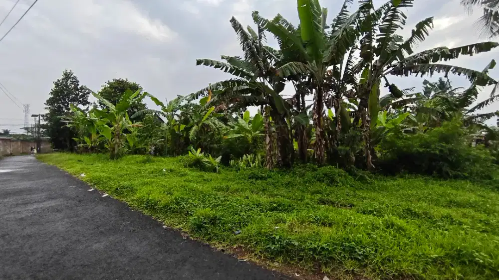 Dijual Tanah di Cianjur Sukamanah