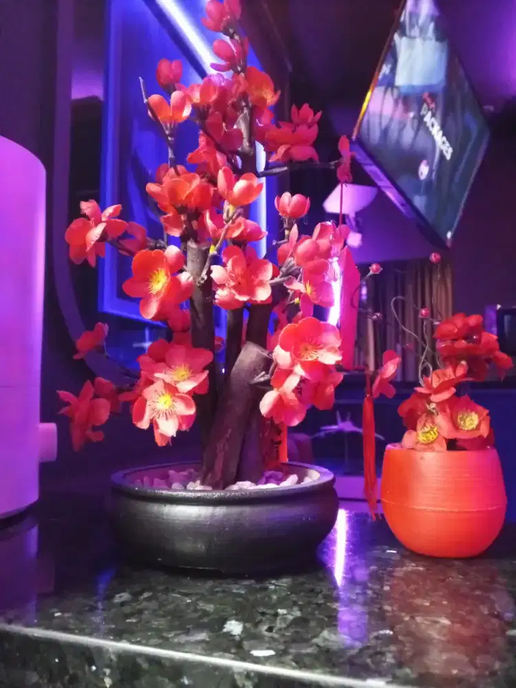 Loker receptionist dan therapy