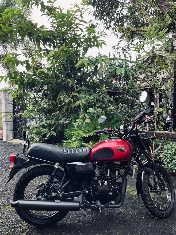 Kawasaki W175 Cafe 2019
