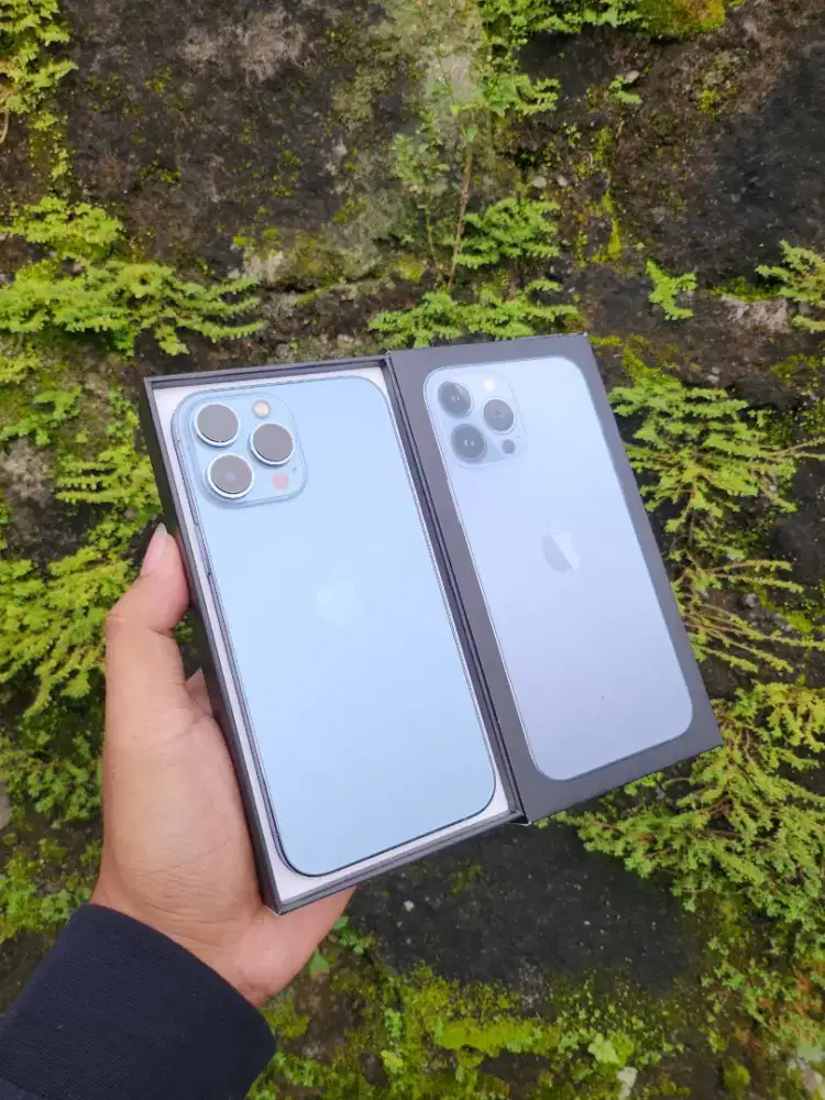 Iphone 13 Promax 256Gb