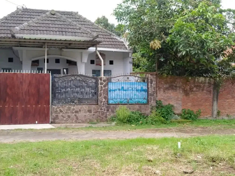 jl a Yani ds Sentul kec Purwodadi kab Pasuruan lokasi dekat RSJ dgn view pegunungan udara sejuk