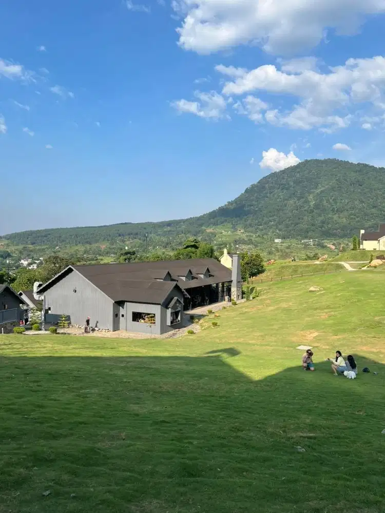 Cari Art + bantu momong