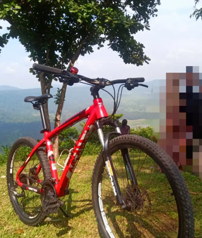 Sepeda MTB united Miami