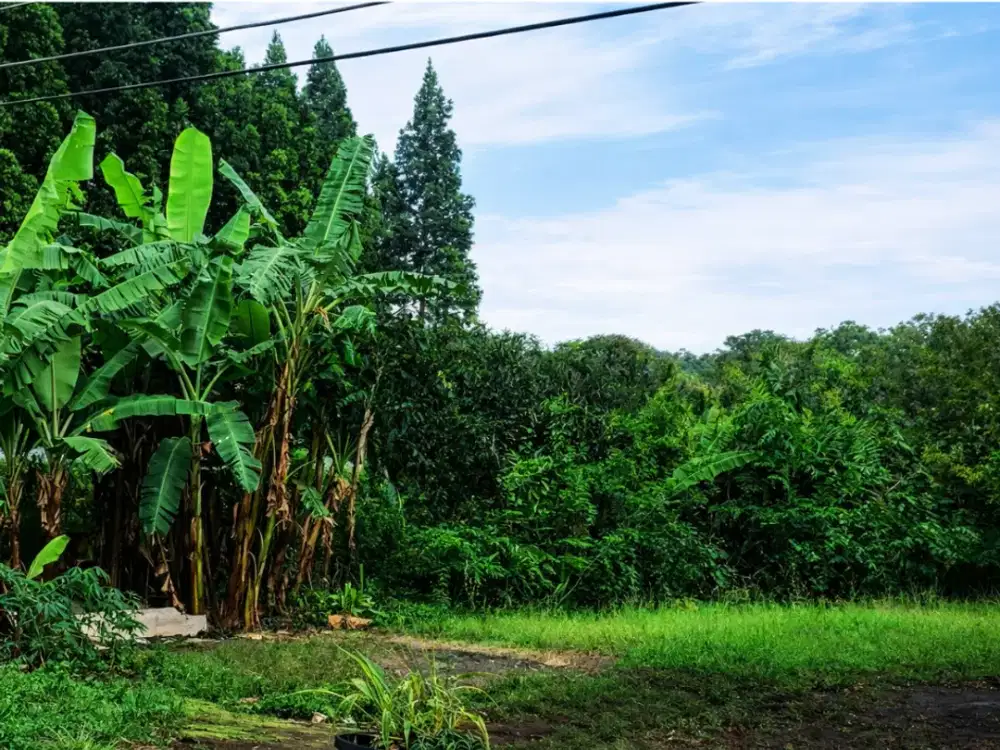 Langka di Pasaran! Tanah Strategis Area Setiabudi