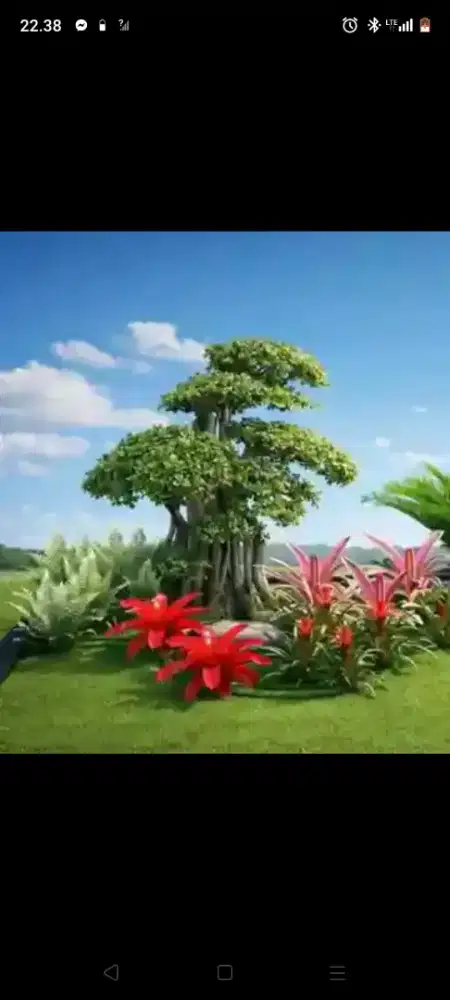 Jasa pembuatan taman minimalis