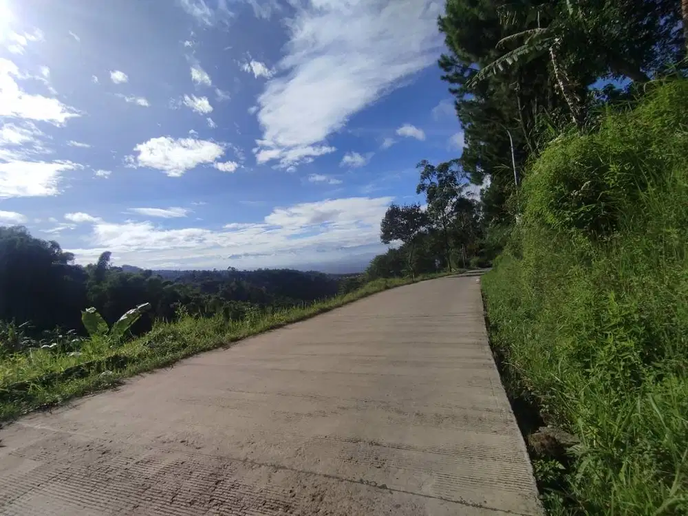 Lagi nyari kerjaan yang yg cuma ktp atau kk