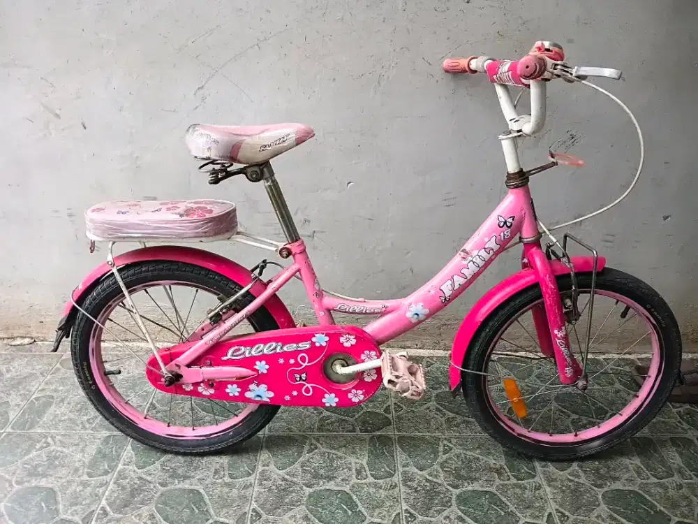 Mini 18 siap goes.  Ttambah speda bisa jg