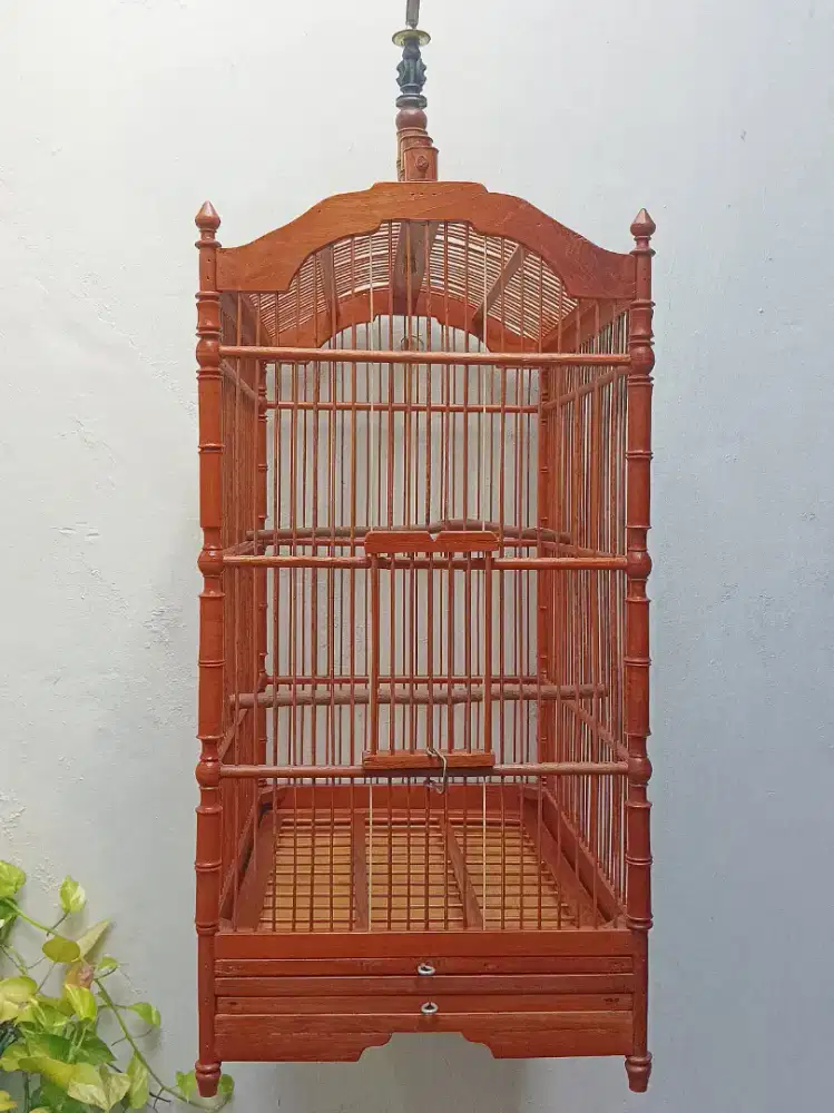 Sangkar Kandang no.3 Mahkota Pion