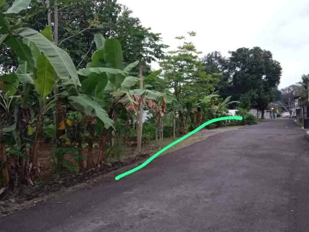 Tanah kosong perum Ketapang Indah dekat RS Margono, Kampus Kedokteran Unsoed Purwokerto