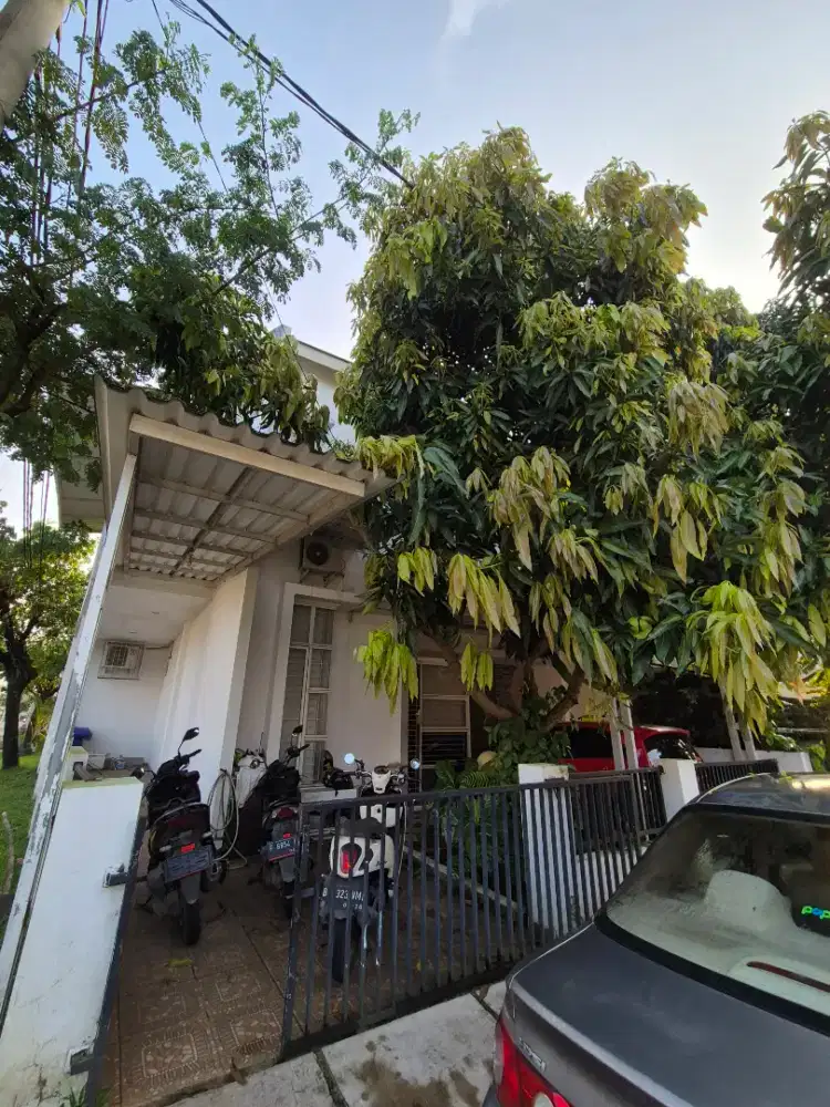 Asisten Rumah Tangga
